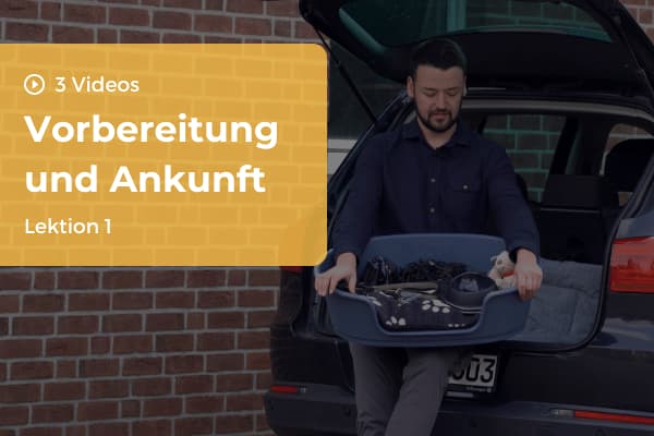 Lektion 1: Vorbereitung und Ankunft Lektion 1: Vorbereitung und Ankunft