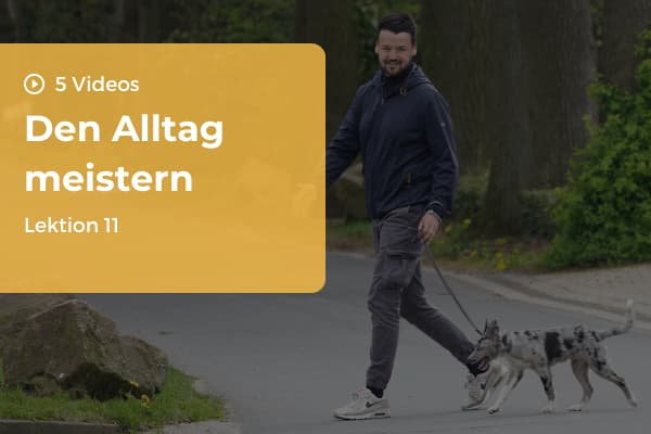 Lektion 11: Den Alltag meistern Lektion 11: Den Alltag meistern