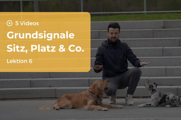 Lektion 6: Grundsignale Lektion 6: Grundsignale