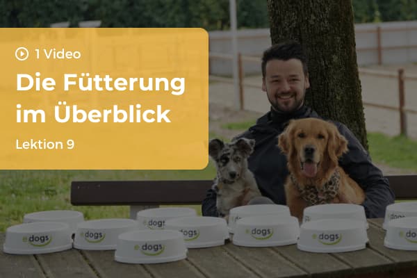 Lektion 9: Die Fütterung im Überblick Lektion 9: Die Fütterung im Überblick