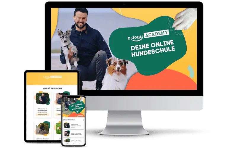 Online Hundeschule Mockup