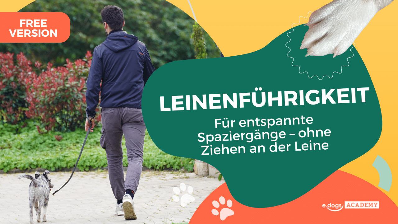 Leinenführigkeitskurs Free Version