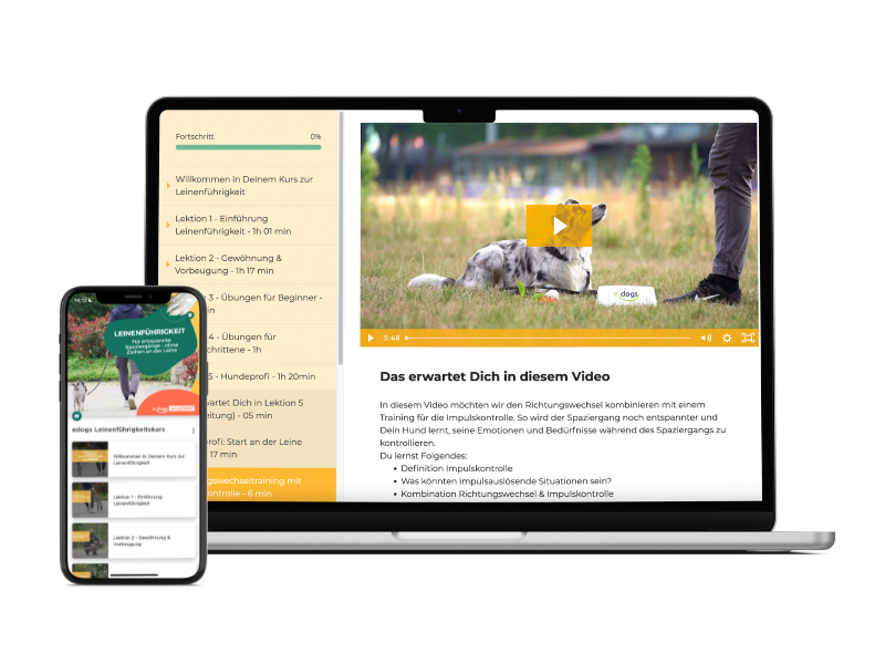 Online Hundeschule auf dem Smartphone und auf dem Laptop