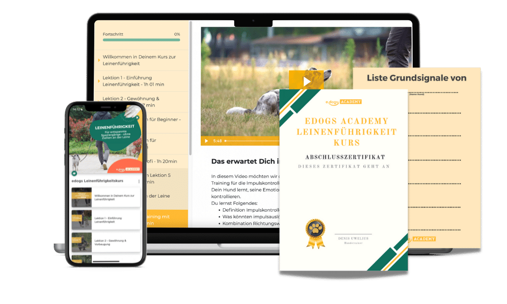 goodies_leinenfuehrigkeit Mockup: Leinenführigkeit Kurs
