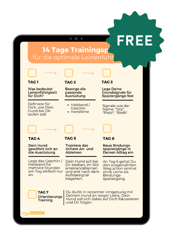 Trainingsplan Leinenführigkeit