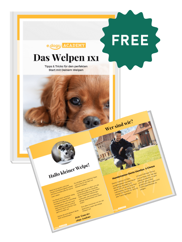 Welpen 1x1 E-Book