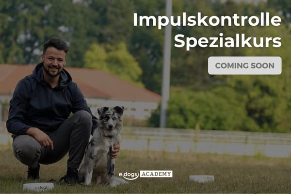 Coming Soon: Impulskontrolle Spezialkurs