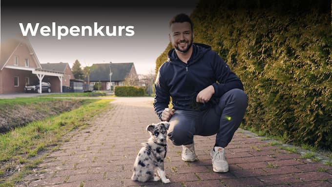welpenkurs-thumbnail Welpenkurs Thumbnail