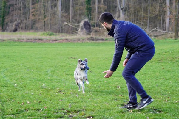 Hundetrainer Denis Uwelius mit seinem Hund Chnux Beschäftigung für den Hund
