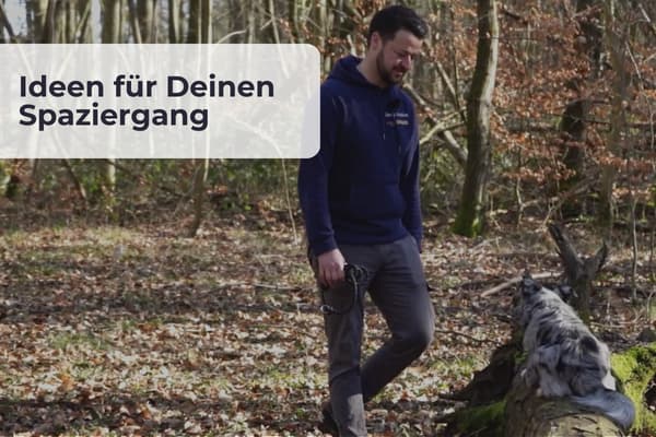 Ideen für Deinen Spaziergang Ideen für den Spaziergang