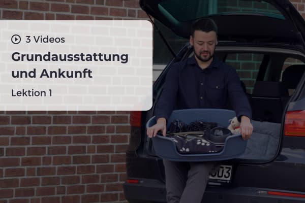 Lektion 1: Grundausstattung und Ankunft