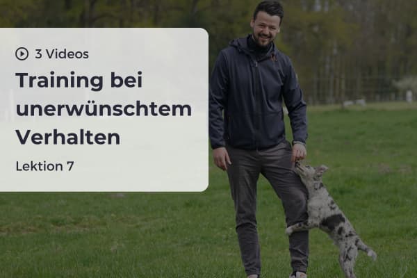 Lektion 7: Training bei unerwünschtem Verhalten