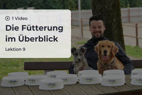 Lektion 9: Die Fütterung im Überblick