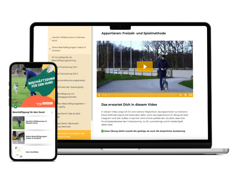 Im Web und in der App Mockup Beschäftigungskurs