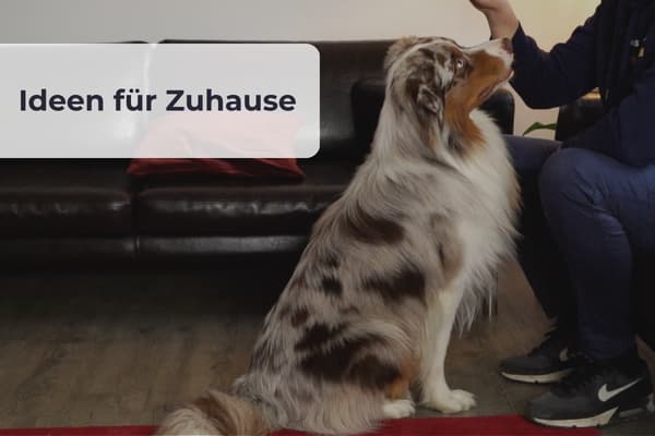 Ideen für Zuhause