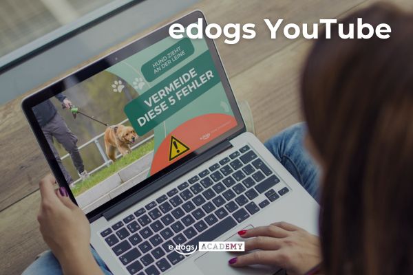 edogs YouTube