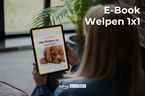 E-Book Welpen 1x1