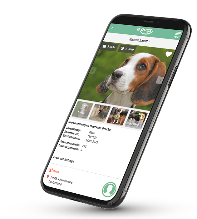 Hintergrund - Infos zur Hundevermittlung