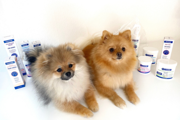 Zwei Zwergspitz Hunde präsentieren die Canosept Pflegeserie