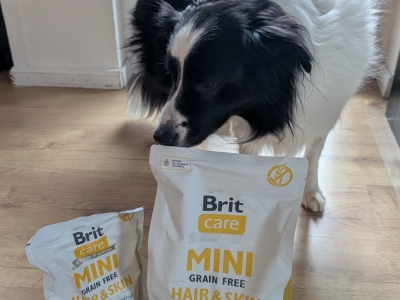 Erfahrungen mit Brit Care Mini