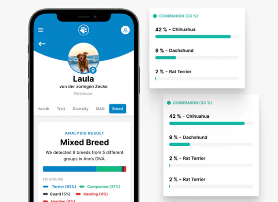 DNA Test beim Hund: Ergebnis durch FERAGEN