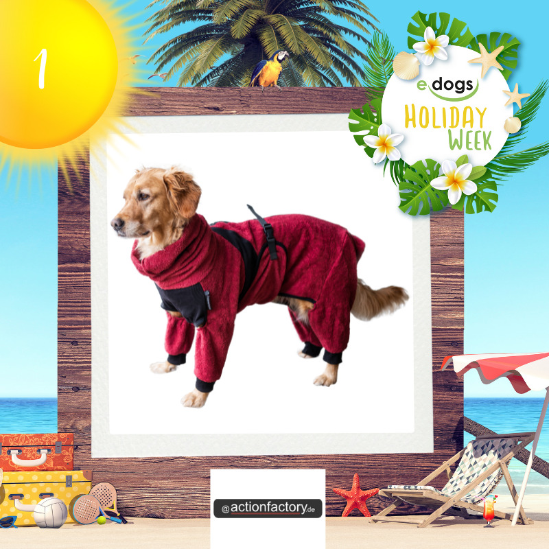 1 - actionfactory Holiday Week Türchen edogs IG & FB