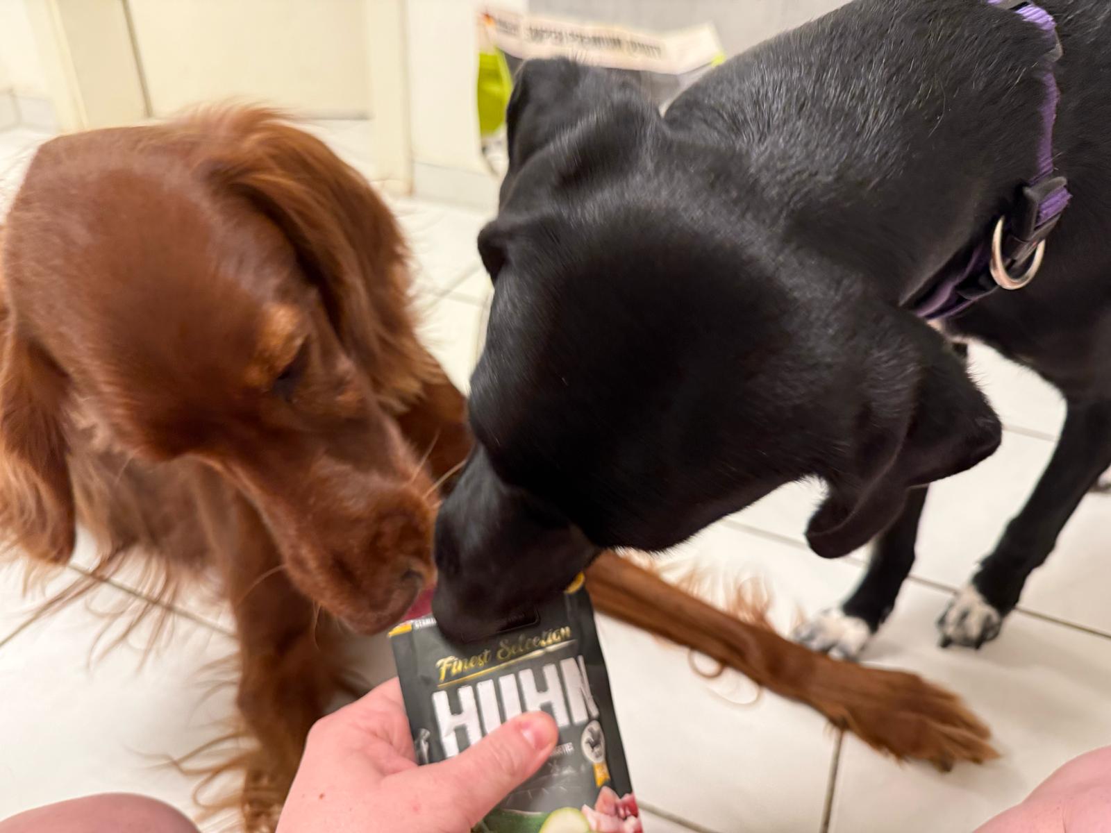 Sabine mit ihren beiden Hunden