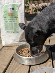 Hund frisst VegDog Futter