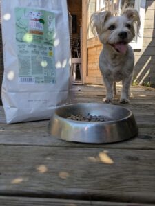 Hund frisst VegDog Futter