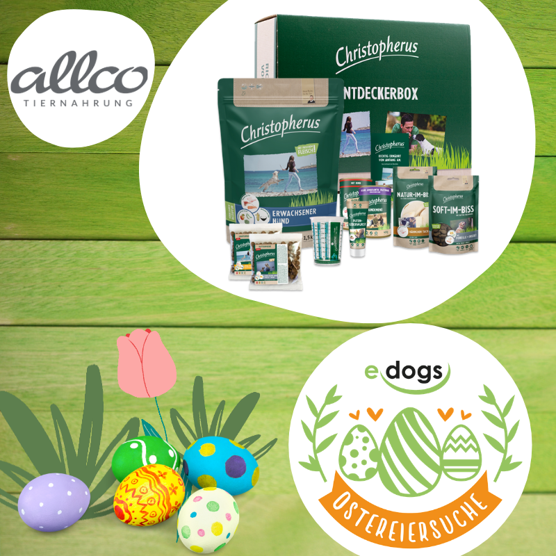 11 allco - Ostereiersuche WordPress Gewinnspielgrafiken