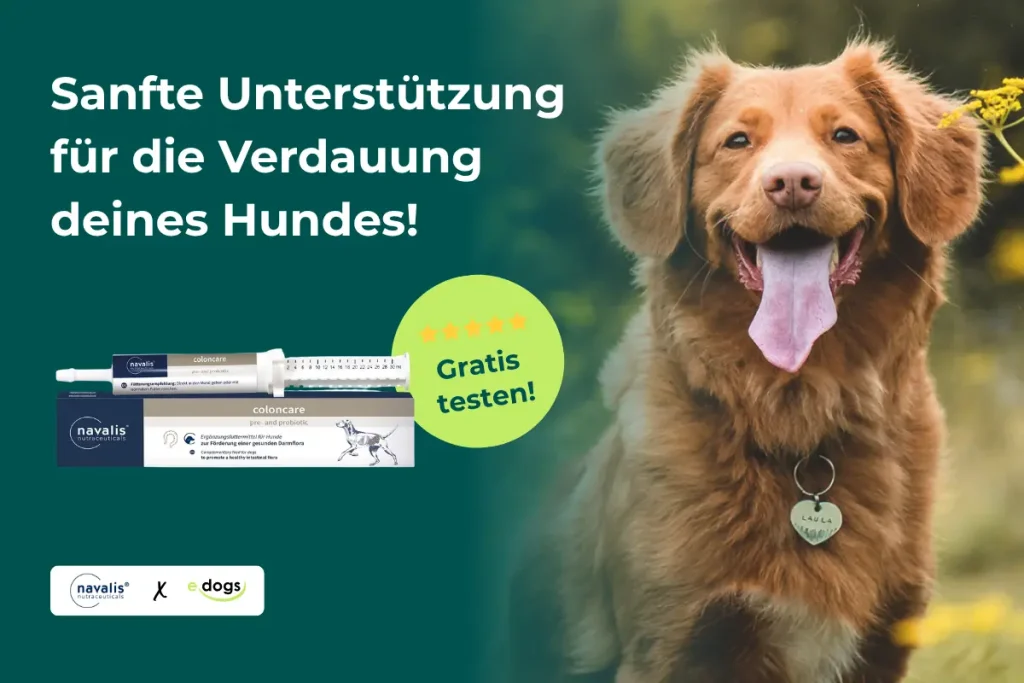 Produkttest mit Navalis: WErde 1 von 5 Testern!