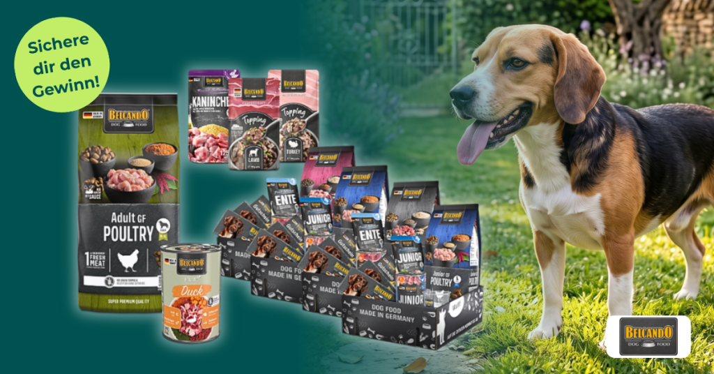 Gewinnspielwoche mit Belcando - Header