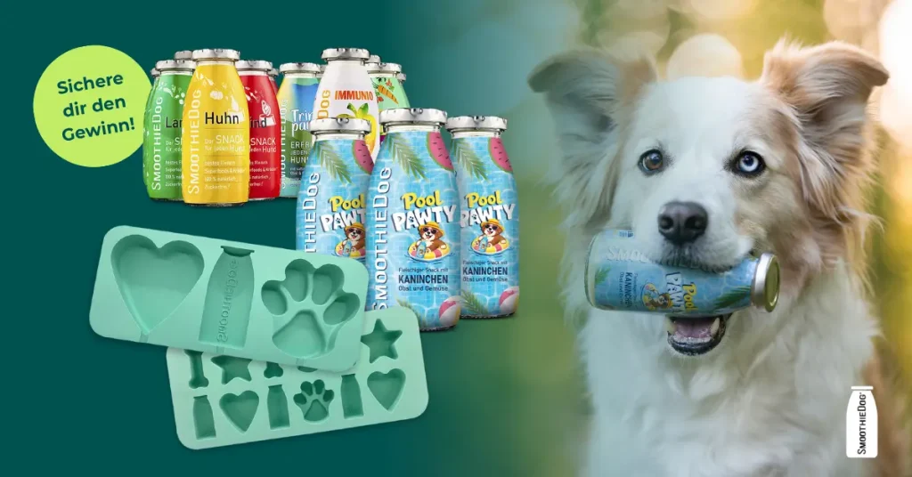Gewinnspiel mit SmoothieDog