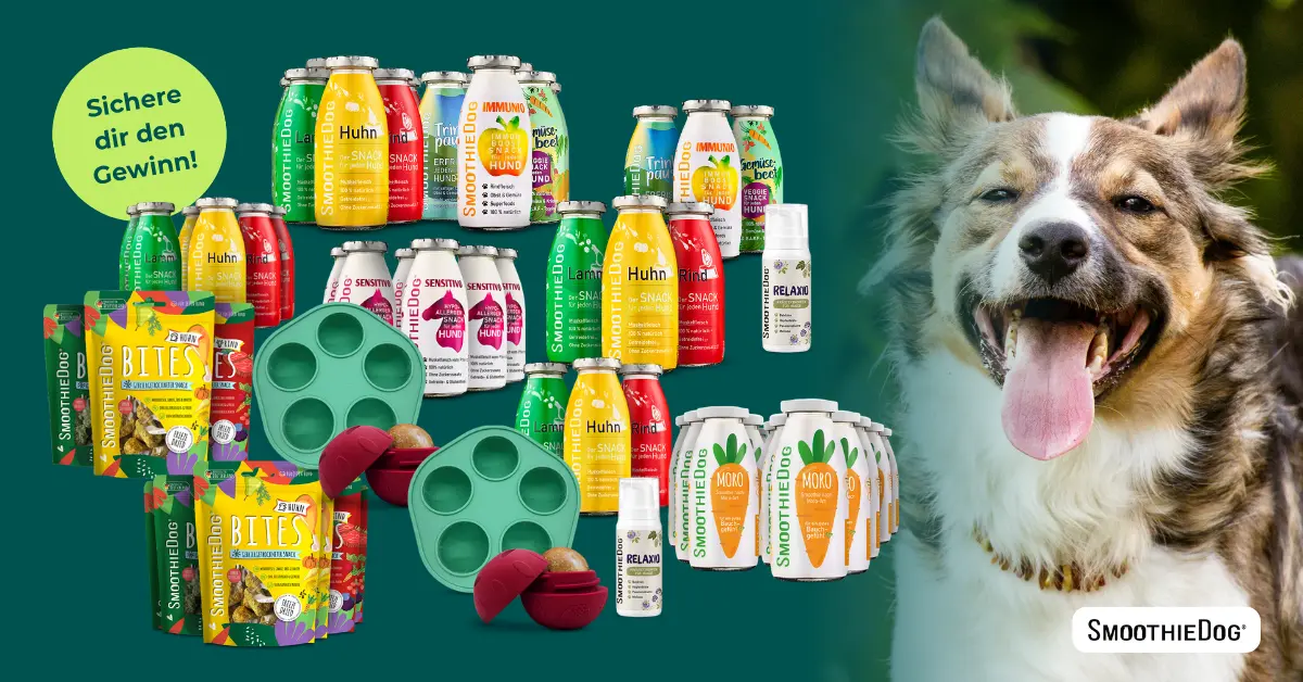 Gewinnspielwoche mit SmoothieDog auf edogs