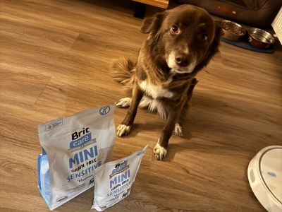 Erfahrungen mit Brit Care Mini