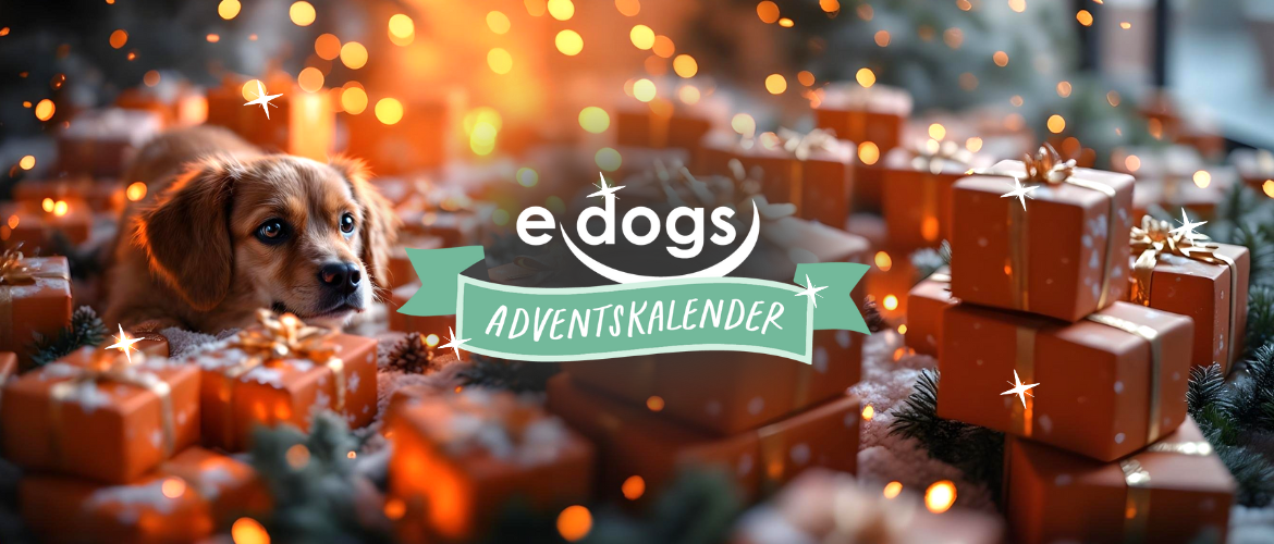 edogs Adventskalender