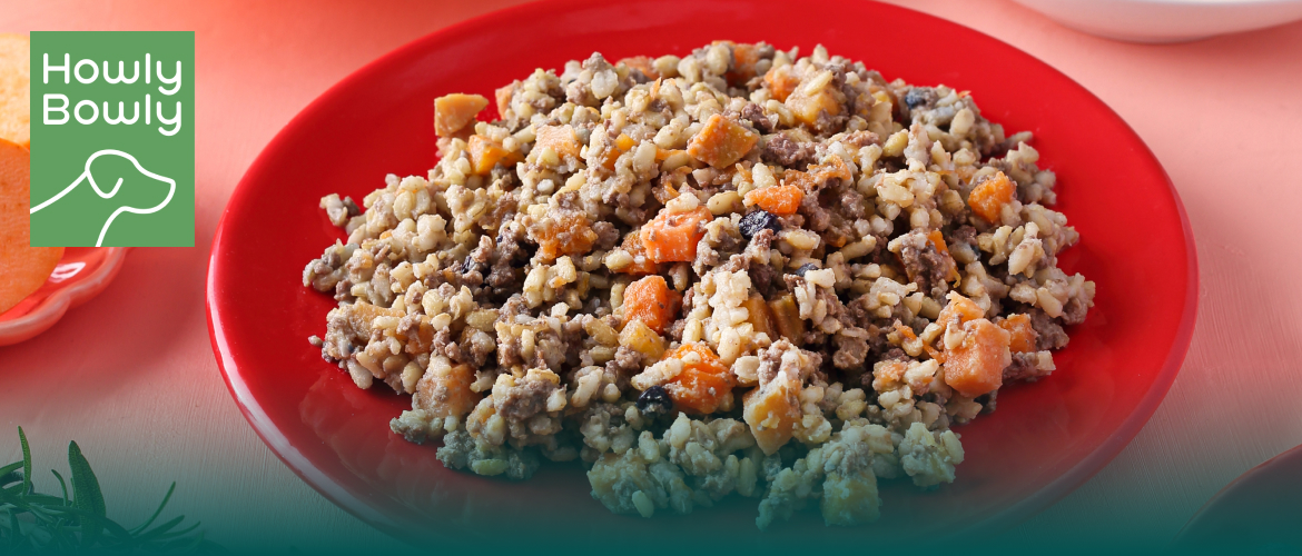 edogs Produkt des Monats: Howly Bowly Frischfutter