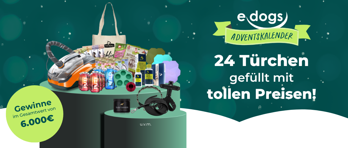 VIP werden beim ehorses Adventskalender und doppelte Gewinnchance sichern