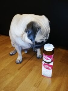 Mops mit den OMNI BIOTIC Produkten