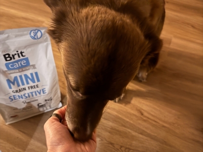 Erfahrungen mit Brit Care Mini
