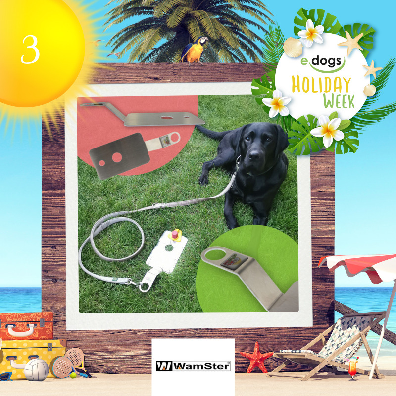 3 - WamSter Holiday Week Türchen edogs IG & FB