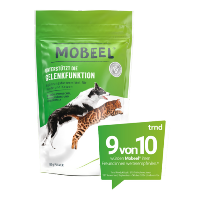 Bandscheibenvorfall beim Hund: Mobeel