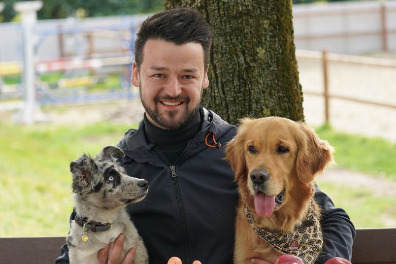 Hund sabbert Gründe für den Speichelfluss edogs Magazin