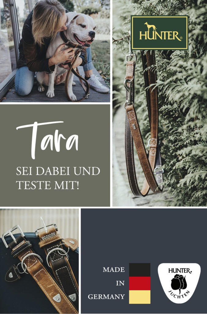 Bild Tara Produkttest