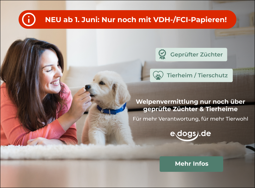 Neue Inseratsregelung bei edogs