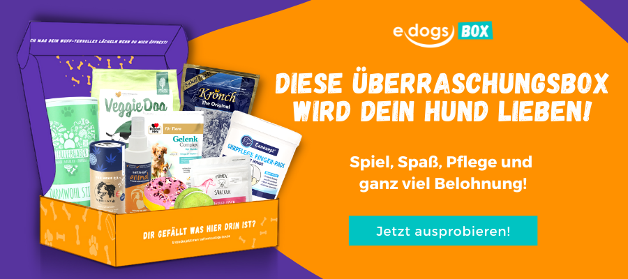 edogs Box Diese Überraschungsbox wird dein Hund lieben!