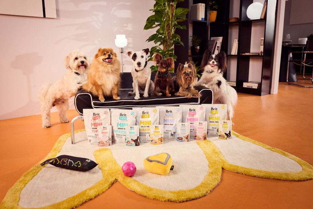 Kleine Hunderassen richtig füttern mit Brit Care Mini. Verschiedene kleine Hunde sitzen nebeneinander, davor steht Brit Care Mini Hundefutter