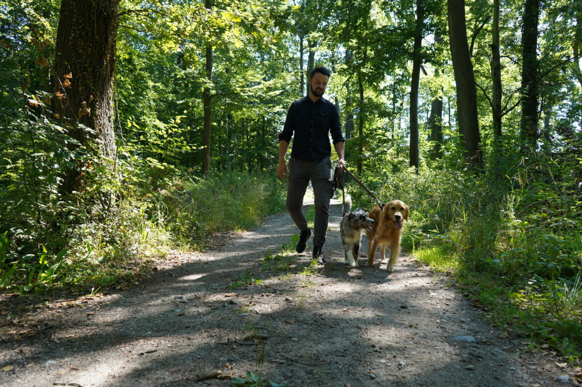 Hund knurrt mich an Richtig verhalten edogs Magazin
