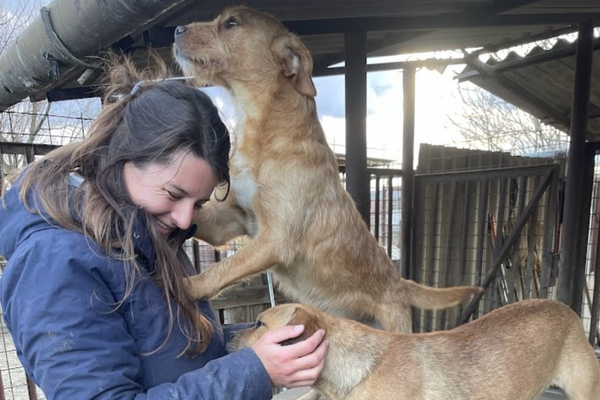 Das schwarze Schaf Tierrettung: Hunde freuen sich über Menschen Besuch