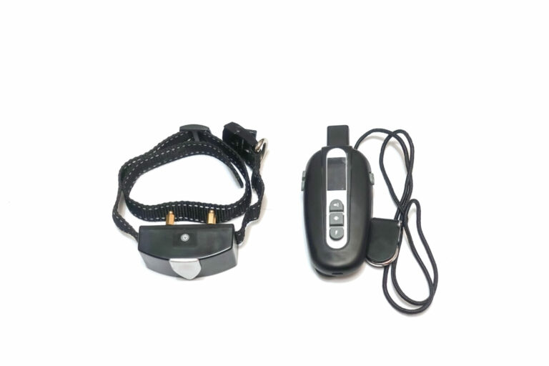 Elektrohalsband für Hunde Wie gefährlich ist es wirklich?